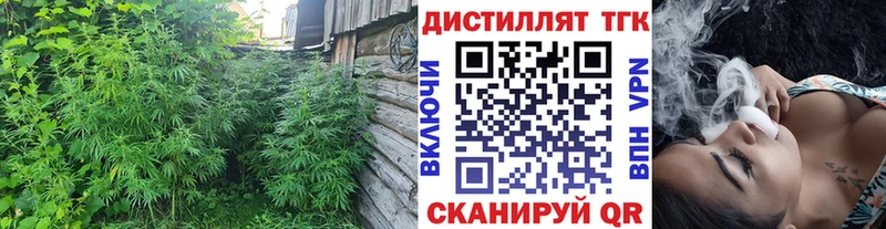 дарнет шоп  Дедовск  это телеграм  ТГК вейп с тгк 