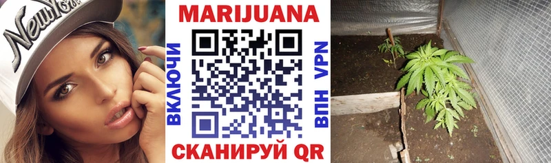 Конопля план  кракен зеркало  Дедовск 